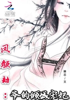 凤颜劫:爷的倾城宠妃