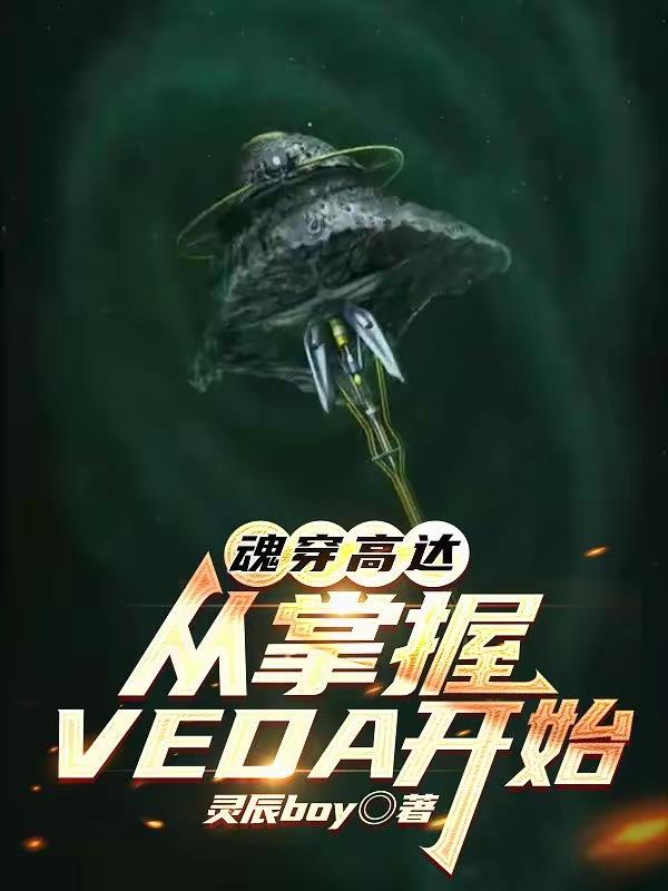 魂穿高达:从掌握VEDA开始