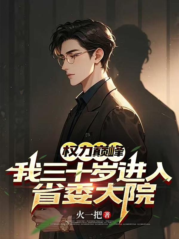 权力巅峰:我三十岁进入省委大院