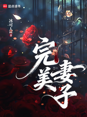 完美妻子