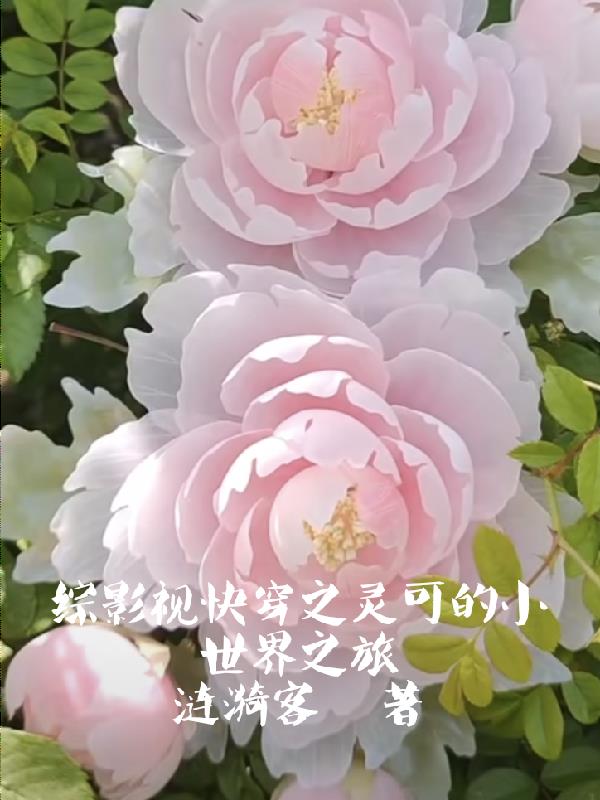 综影视快穿之灵可的小世界之旅